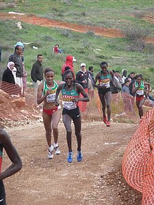 P1020100.JPG