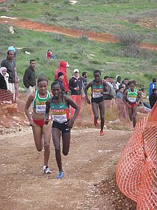 P1020101.JPG