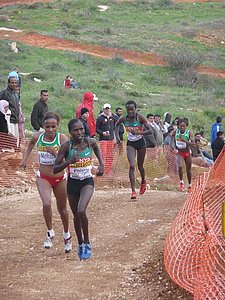P1020102.JPG