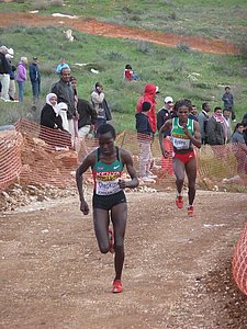 P1020103.JPG