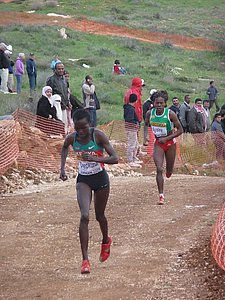 P1020104.JPG