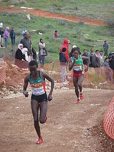 P1020105.JPG