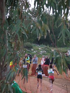 P1020108.JPG