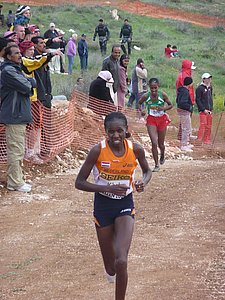 P1020109.JPG