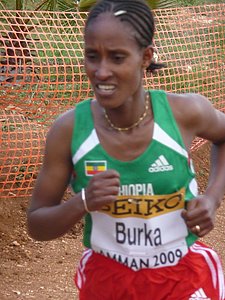 P1020113.JPG
