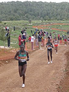 P1020114.JPG