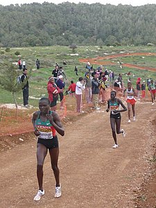 P1020115.JPG