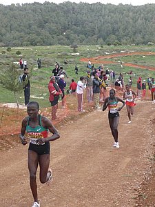 P1020116.JPG