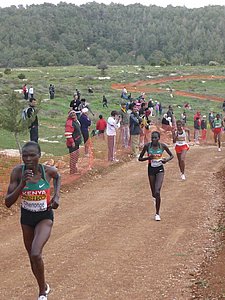P1020117.JPG