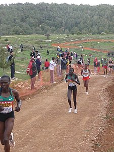 P1020118.JPG