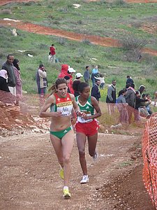 P1020124.JPG