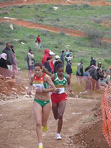 P1020126.JPG
