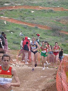 P1020131.JPG