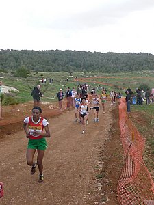 P1020149.JPG