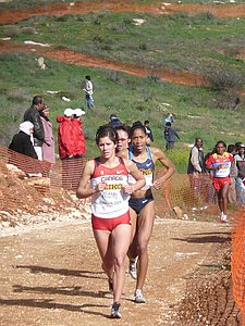 P1020154.JPG