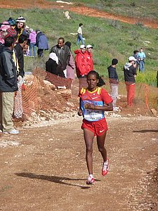 P1020155.JPG