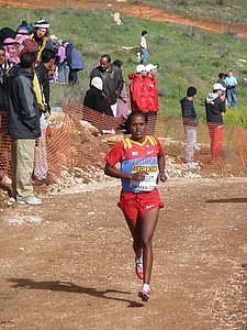 P1020157.JPG