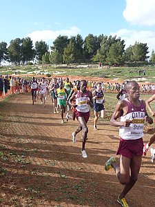 P1020185.JPG