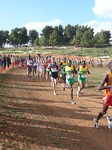 P1020188.JPG