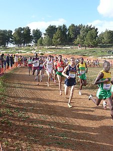 P1020190.JPG
