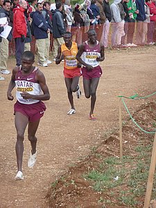 P1020214.JPG