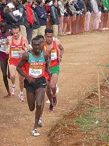 P1020226.JPG