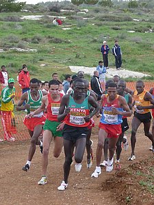 P1020285.JPG