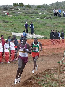 P1020290.JPG