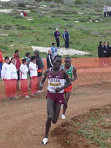 P1020291.JPG