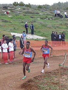 P1020292.JPG