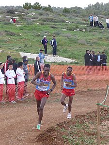 P1020293.JPG