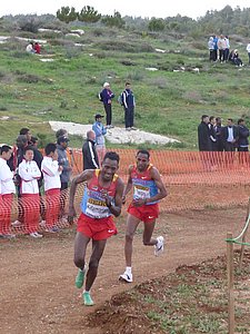 P1020294.JPG