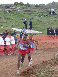P1020295.JPG