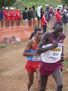 P1020311.JPG