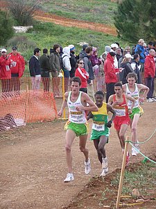 P1020313.JPG