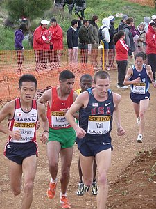 P1020334.JPG