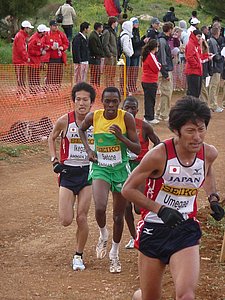 P1020346.JPG