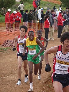 P1020347.JPG