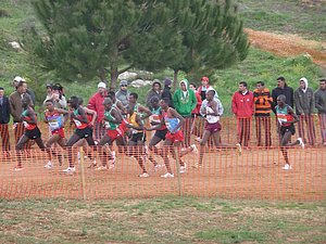 P1020371.JPG