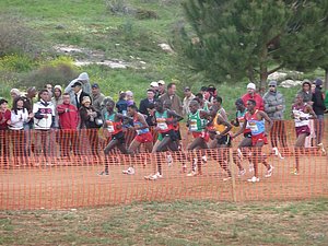 P1020373.JPG