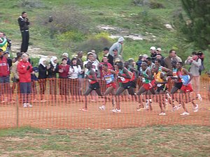 P1020375.JPG