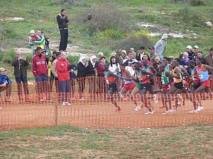 P1020376.JPG