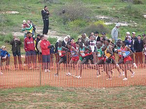 P1020377.JPG