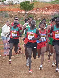 P1020381.JPG