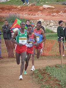 P1020387.JPG