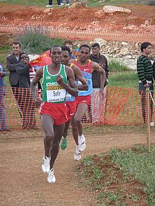 P1020388.JPG