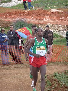 P1020391.JPG