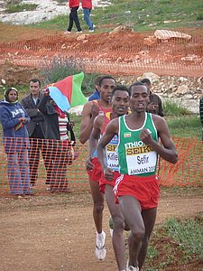 P1020392.JPG