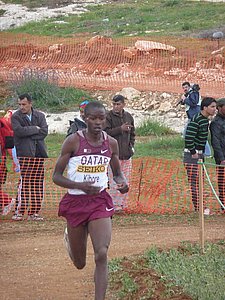 P1020394.JPG