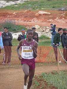 P1020395.JPG